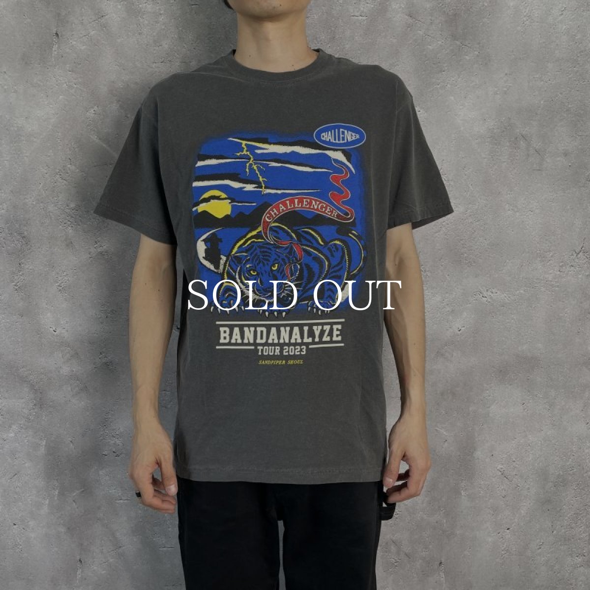 画像2: CHALLENGER  B.D SOUTH TIGER TEE (BLACK) (2)