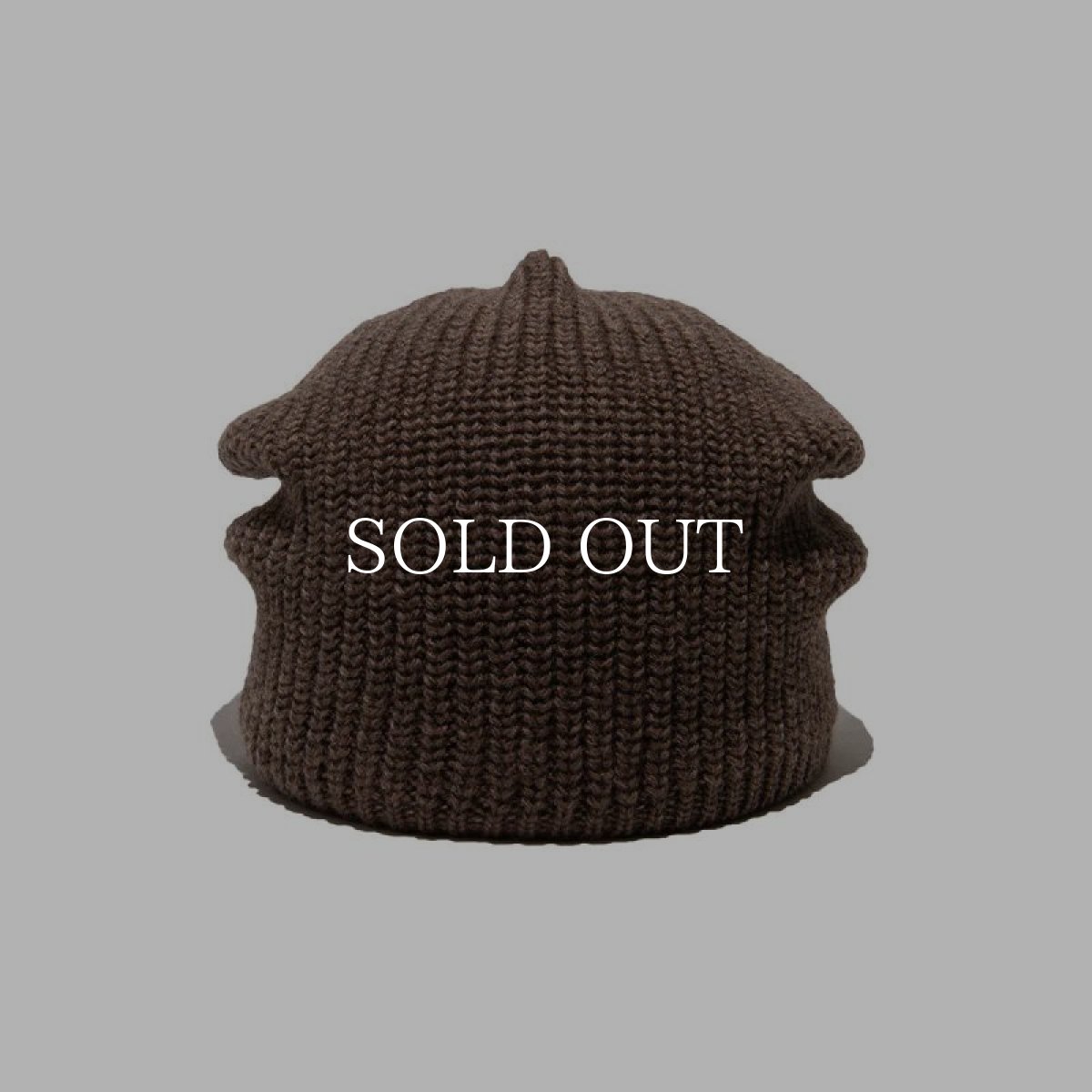 画像2: THE H.W.DOG&CO.  SMART BEANIE (BEIGE) (2)