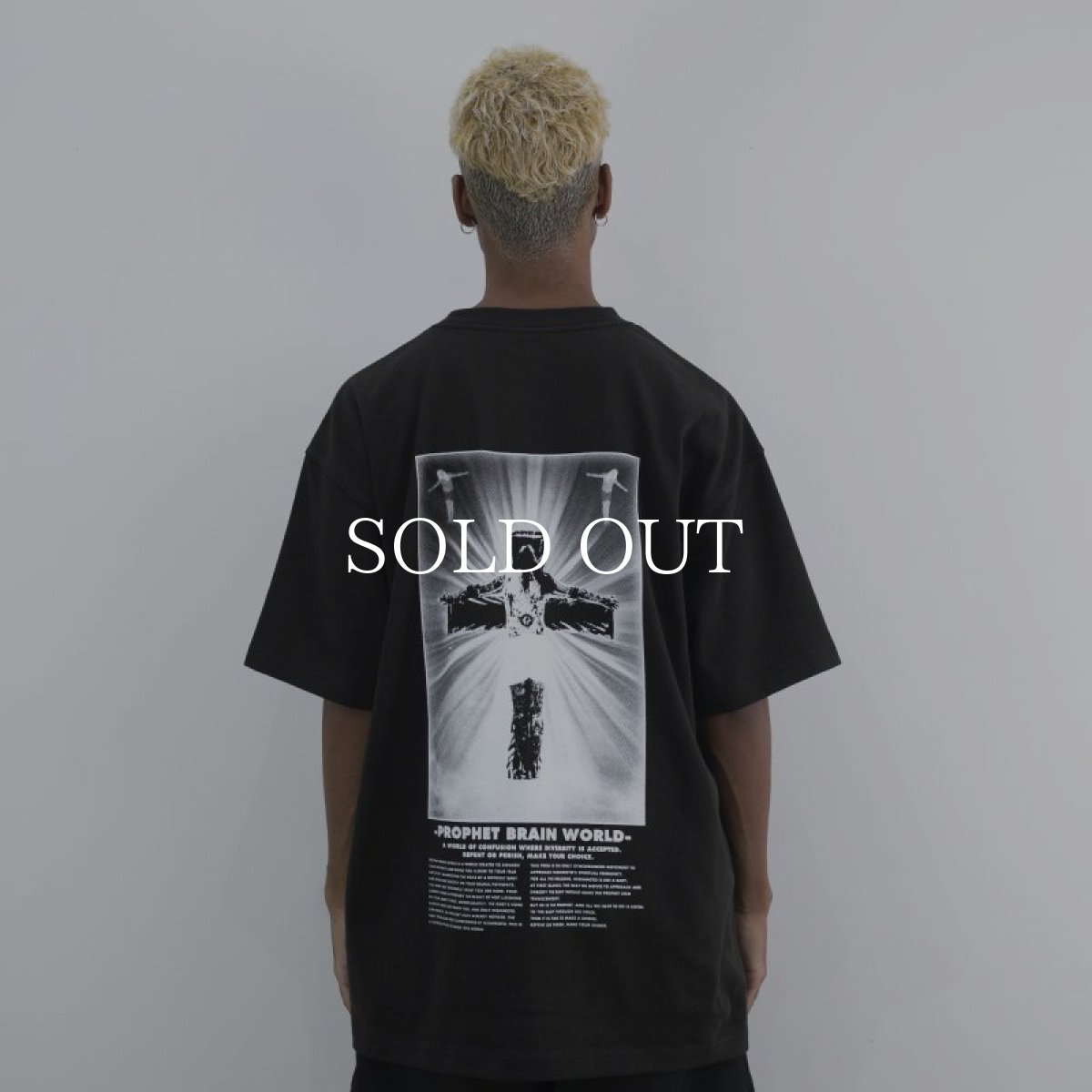 画像4: NISHIMOTO IS THE MOUTH   PBW S/S TEE (4)