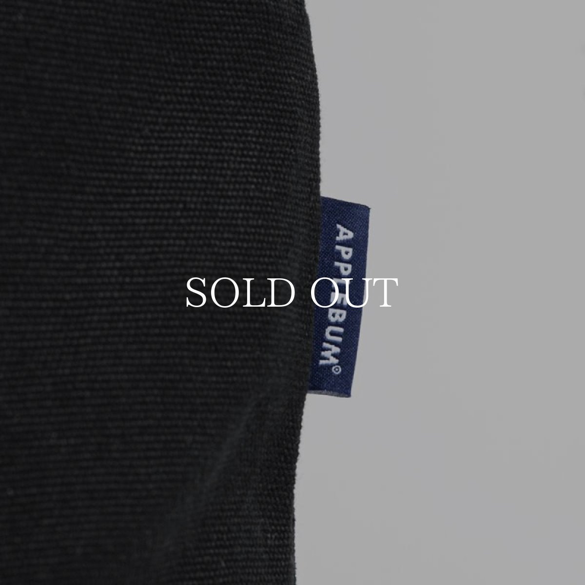 画像8: APPLEBUM  "Blue Flame Logo" Canvas Zip Totebag (Black) (8)