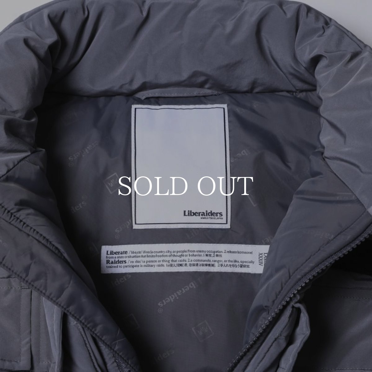 画像3: Liberaiders  UTILITY EXPEDITION VEST (GRAY) (3)