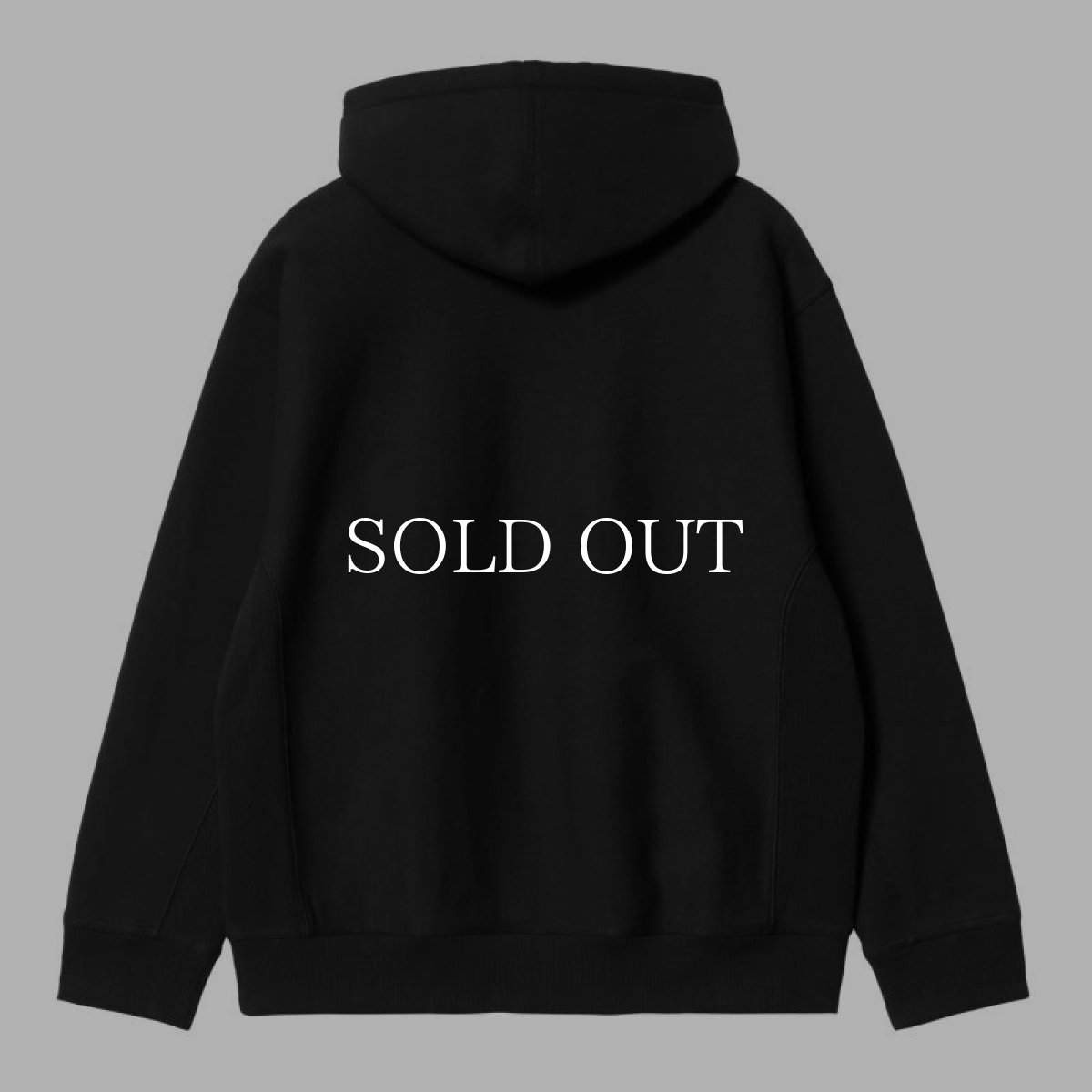 画像2: CARHARTT WIP  HOODED AMERICAN SCRIPT SWEATSHIRT (2)