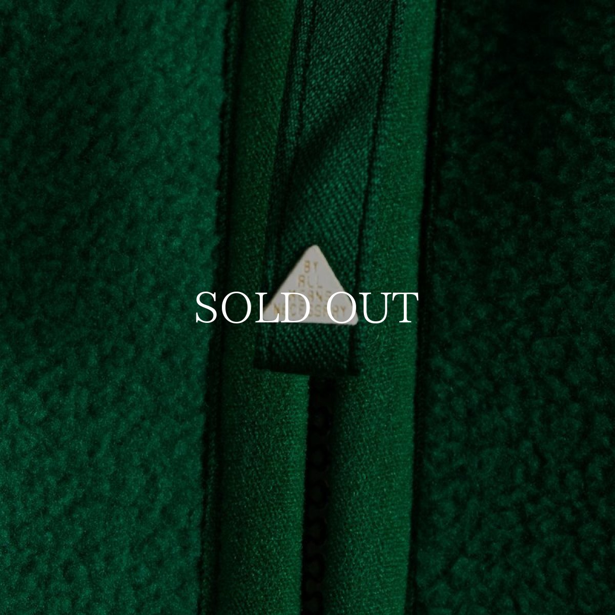 画像10: APPLEBUM  Fleece Jacket (Green) (10)