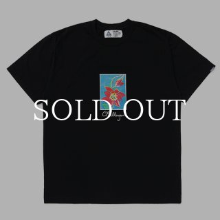 CHALLENGER(チャレンジャー)Tシャツ (Page 2)