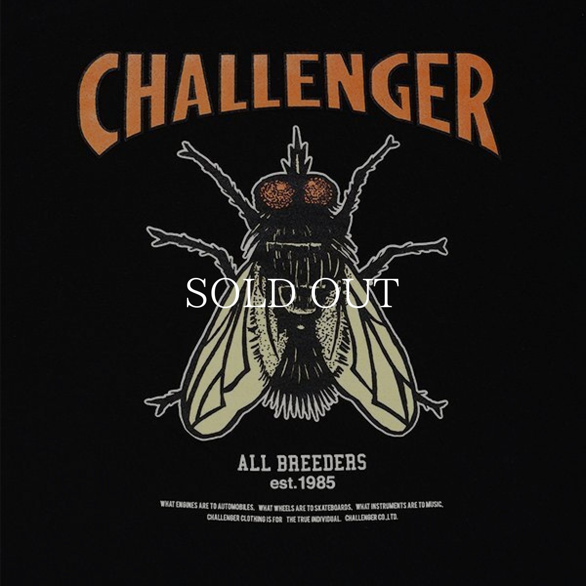 画像4: CHALLENGER  L/S HIBISCUS TEE (4)