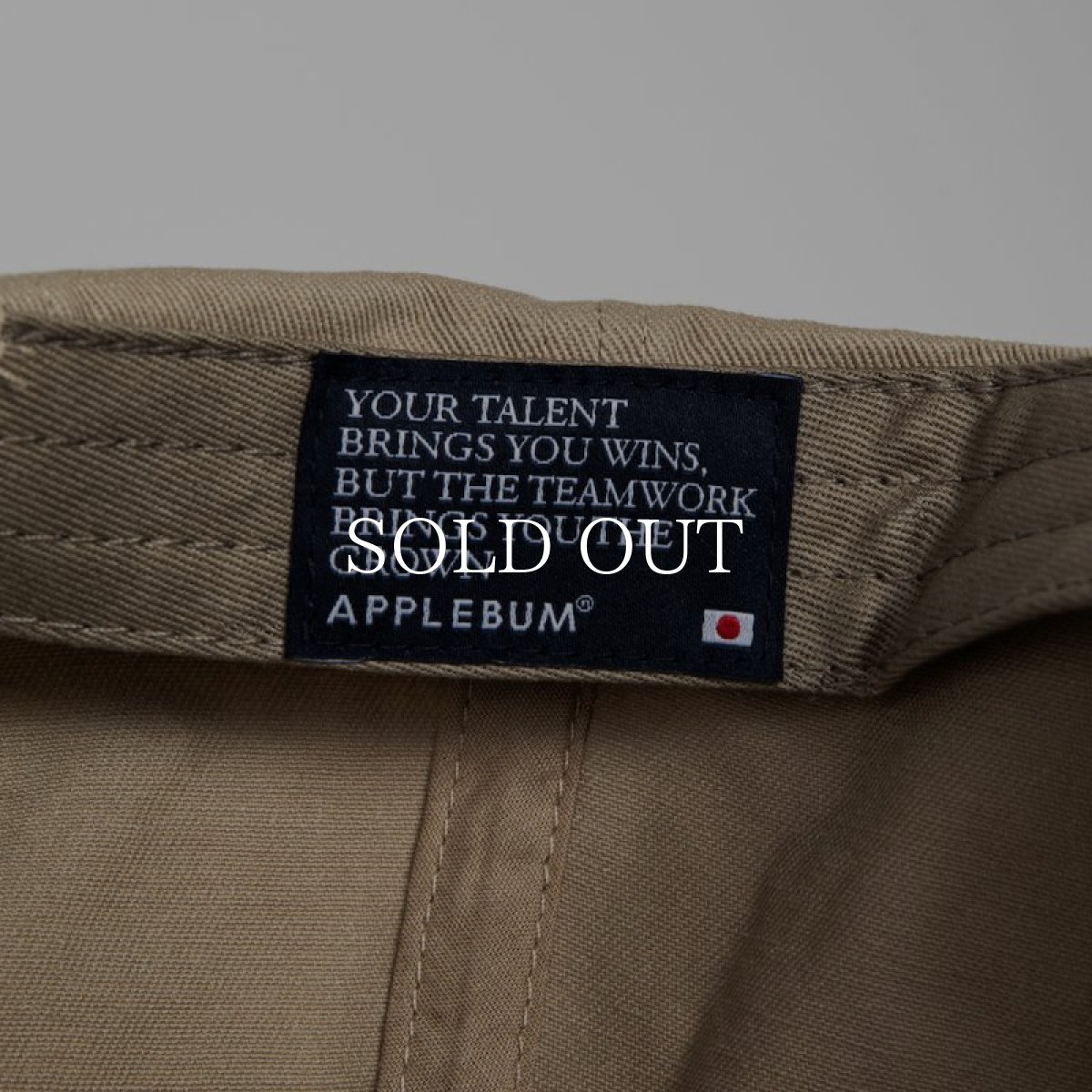 画像35: APPLEBUM  Museum Logo Cap (35)