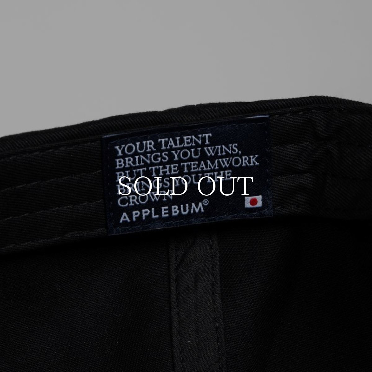 画像8: APPLEBUM  Museum Logo Cap (8)