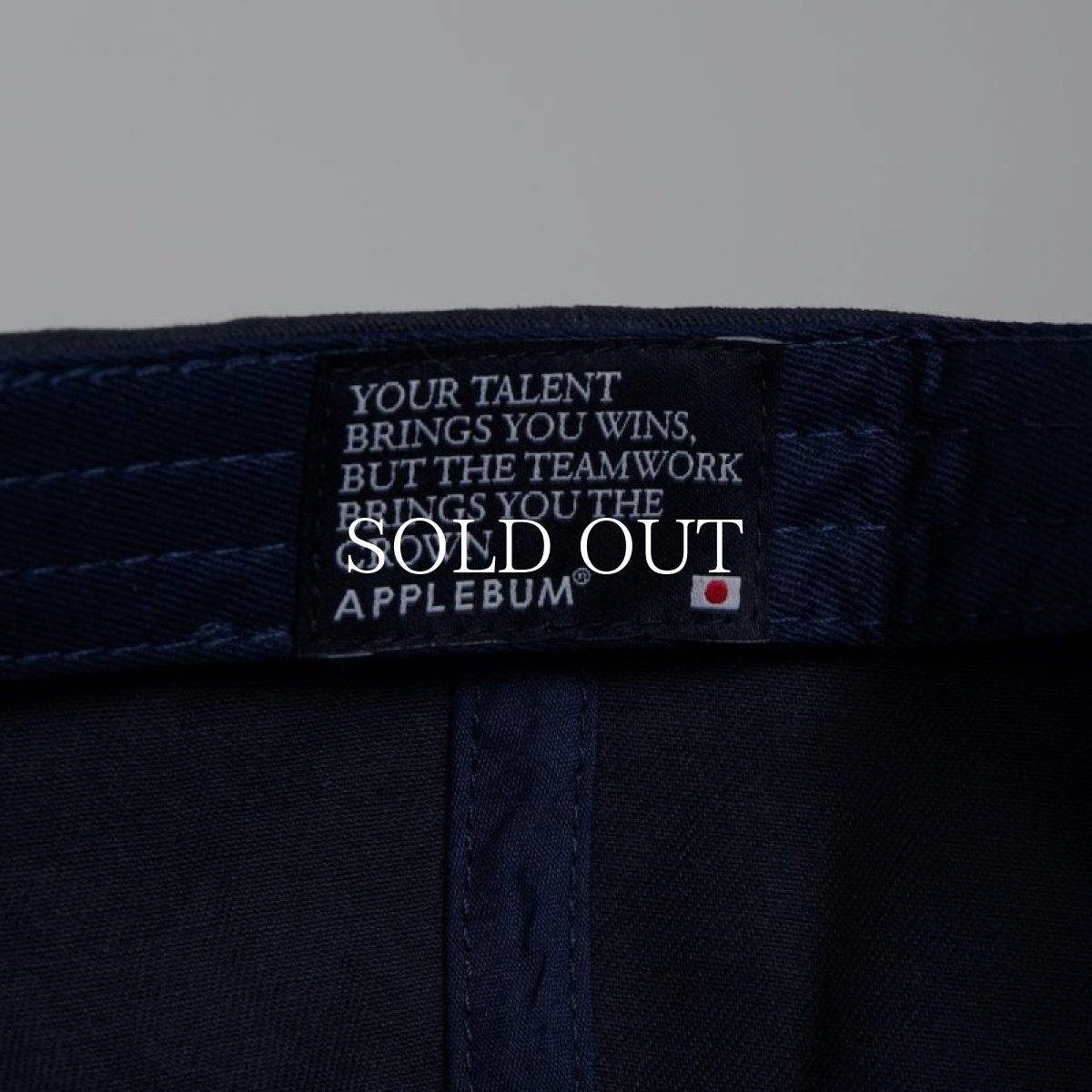 画像17: APPLEBUM  Museum Logo Cap (17)