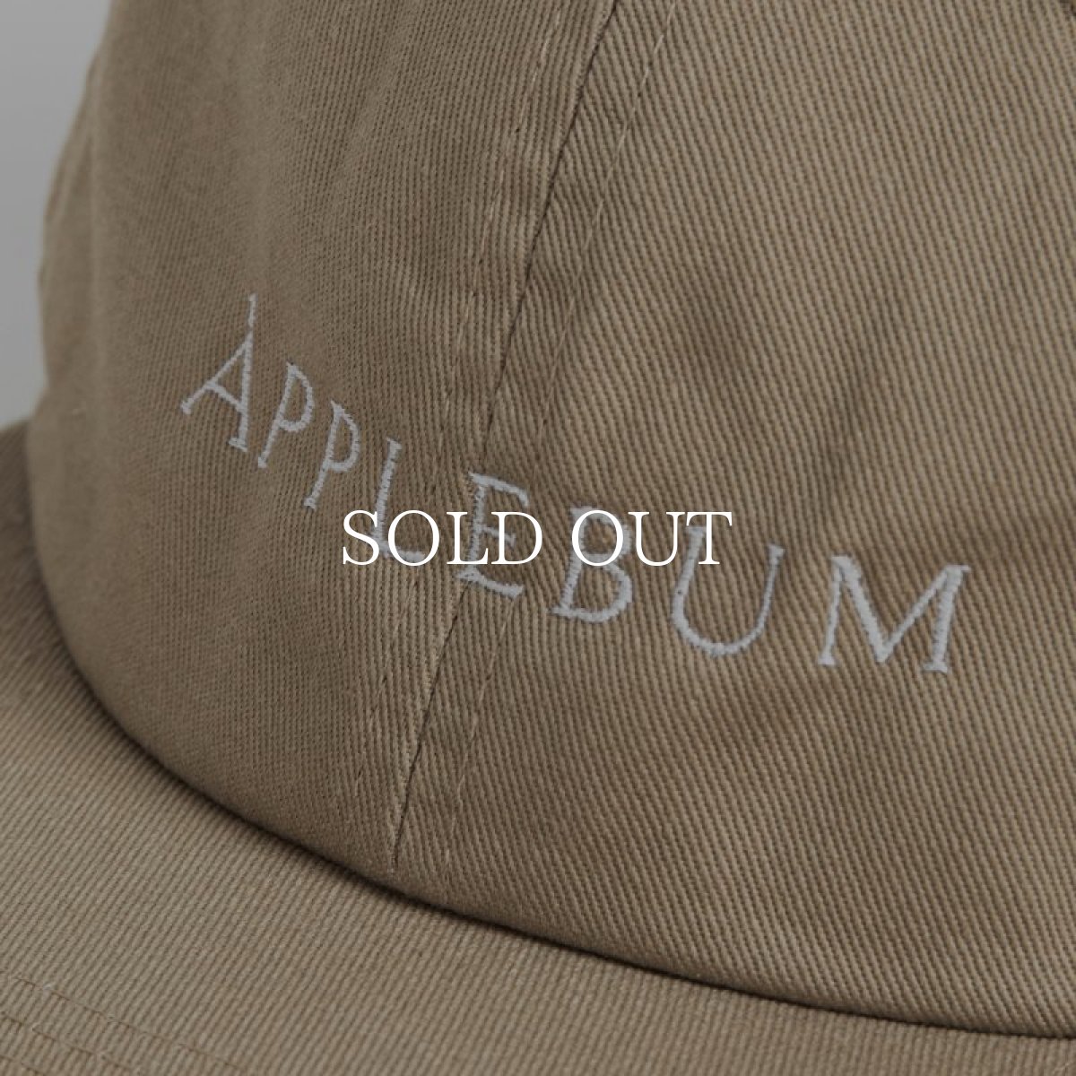 画像32: APPLEBUM  Museum Logo Cap (32)