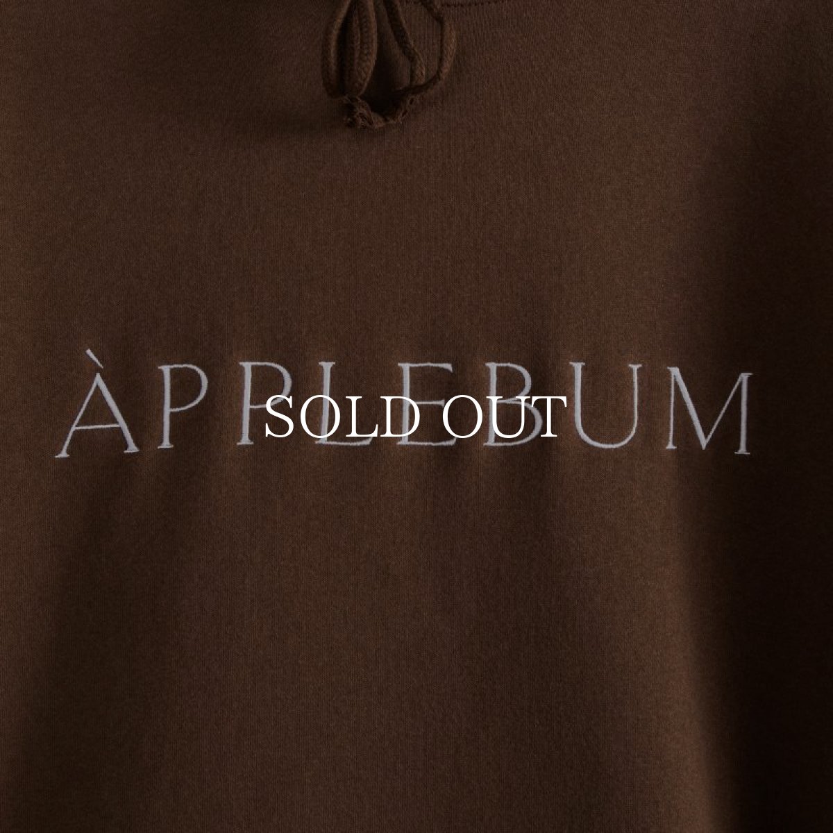 画像11: APPLEBUM  Museum Logo Sweat Parka (11)