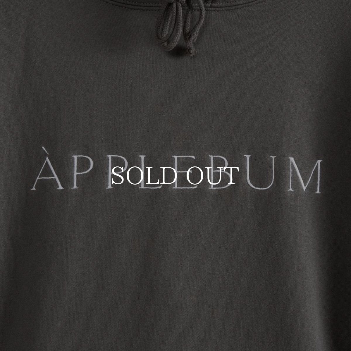 画像27: APPLEBUM  Museum Logo Sweat Parka (27)