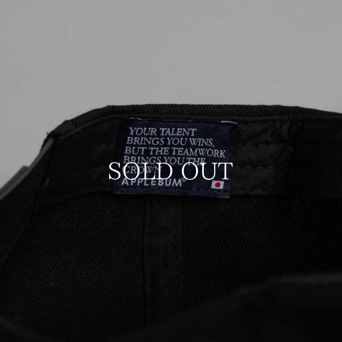 画像9: APPLEBUM  Arch Logo BB Cap (9)