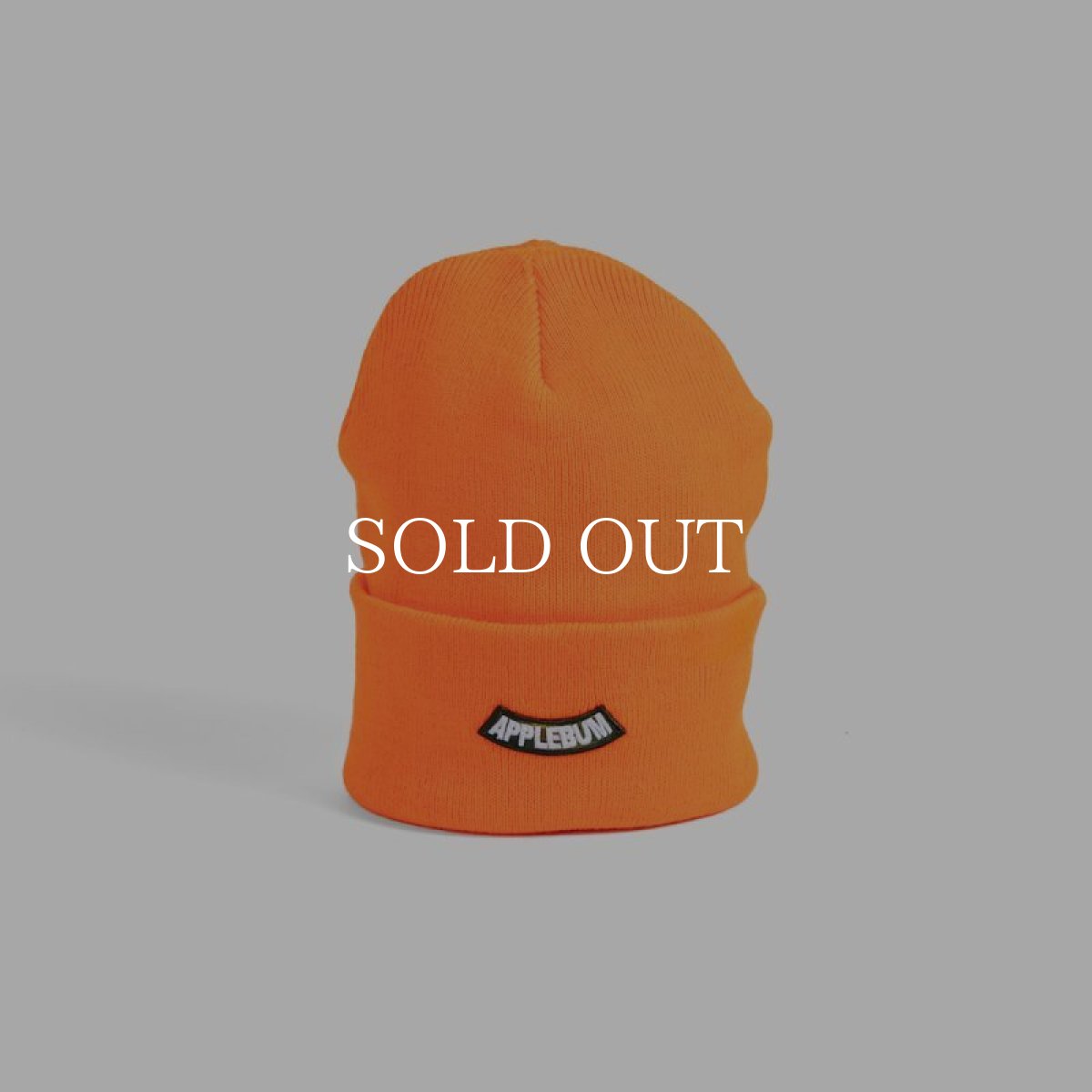 画像13: APPLEBUM  Arch Logo Knit Cap (13)