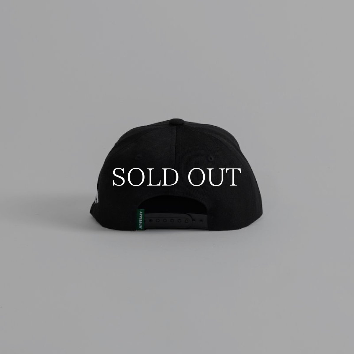 画像4: APPLEBUM  Arch Logo BB Cap (4)