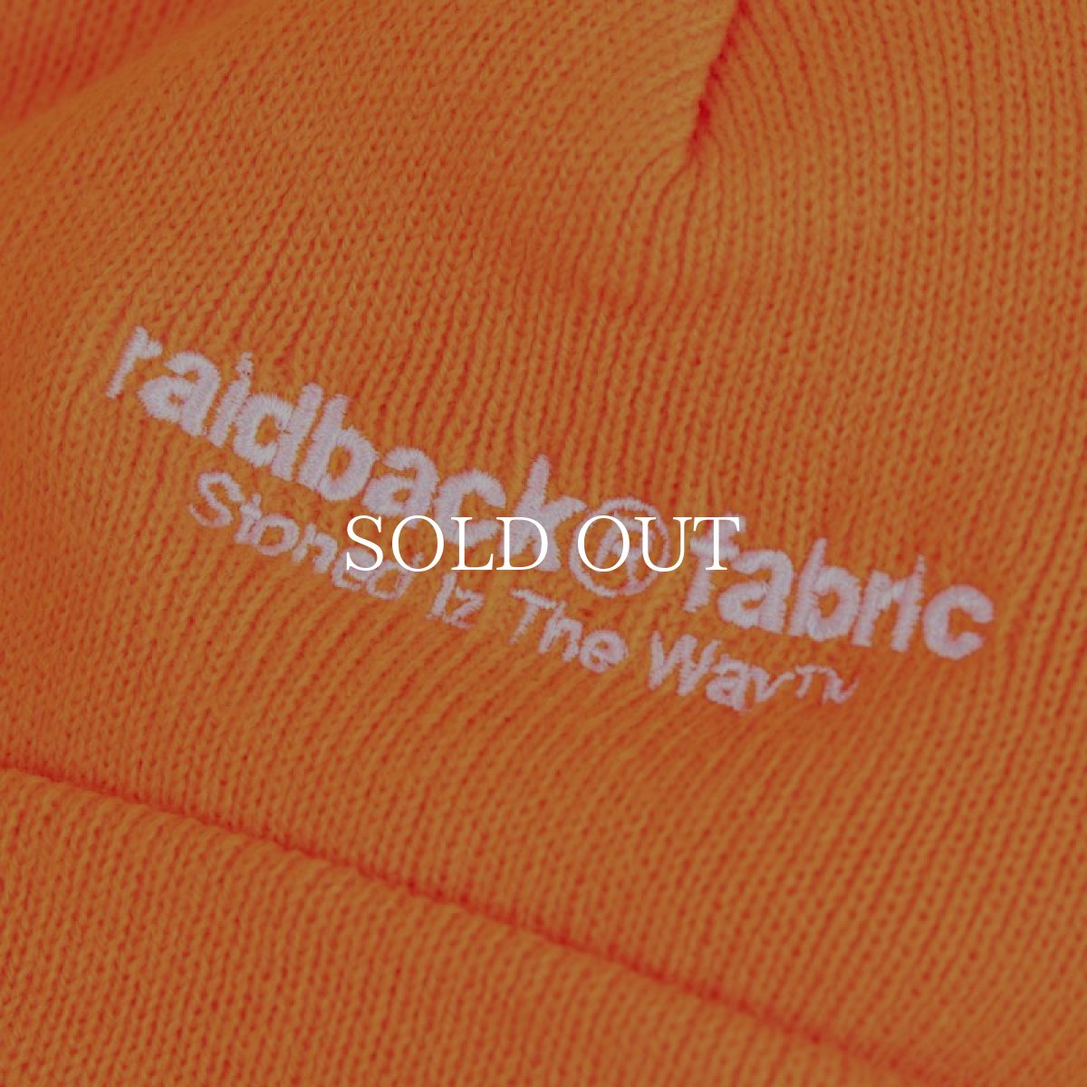 画像16: APPLEBUM  Arch Logo Knit Cap (16)