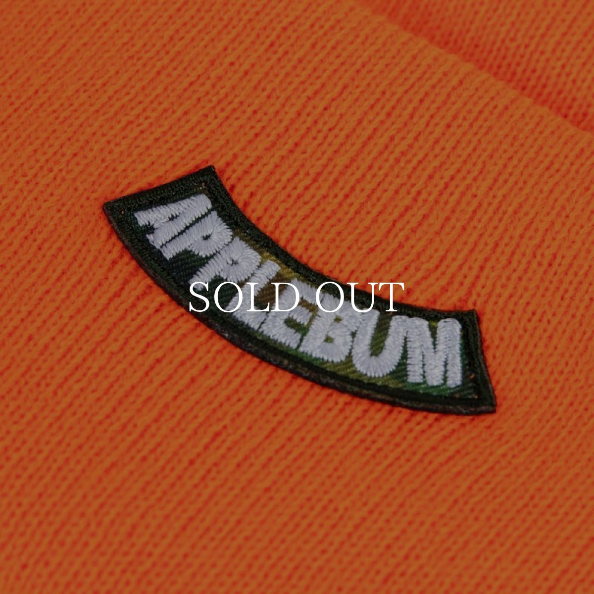 画像15: APPLEBUM  Arch Logo Knit Cap (15)