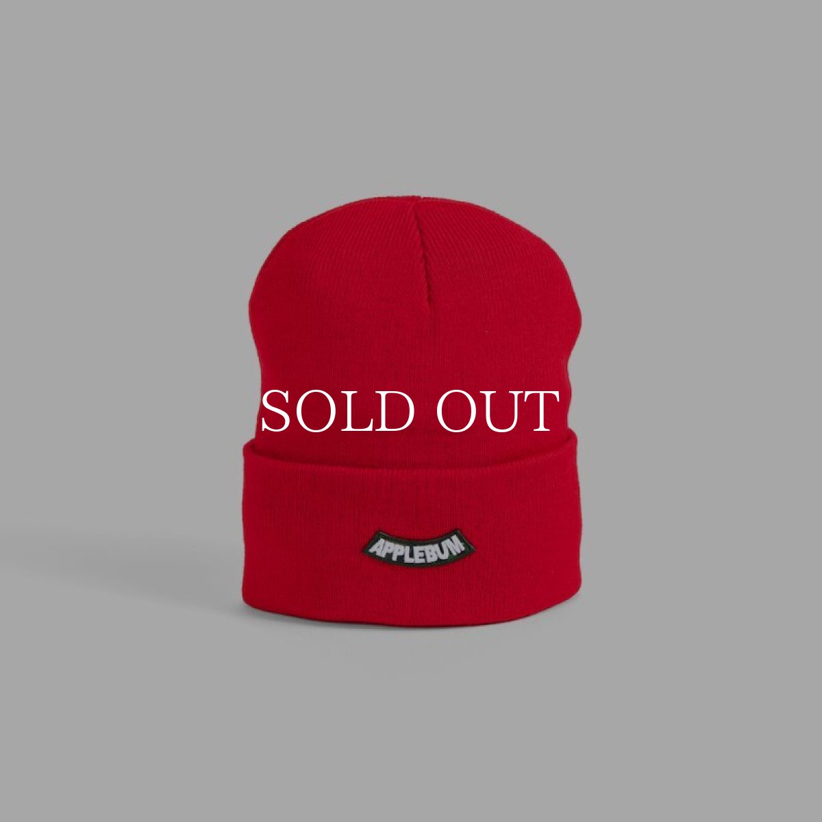画像9: APPLEBUM  Arch Logo Knit Cap (9)