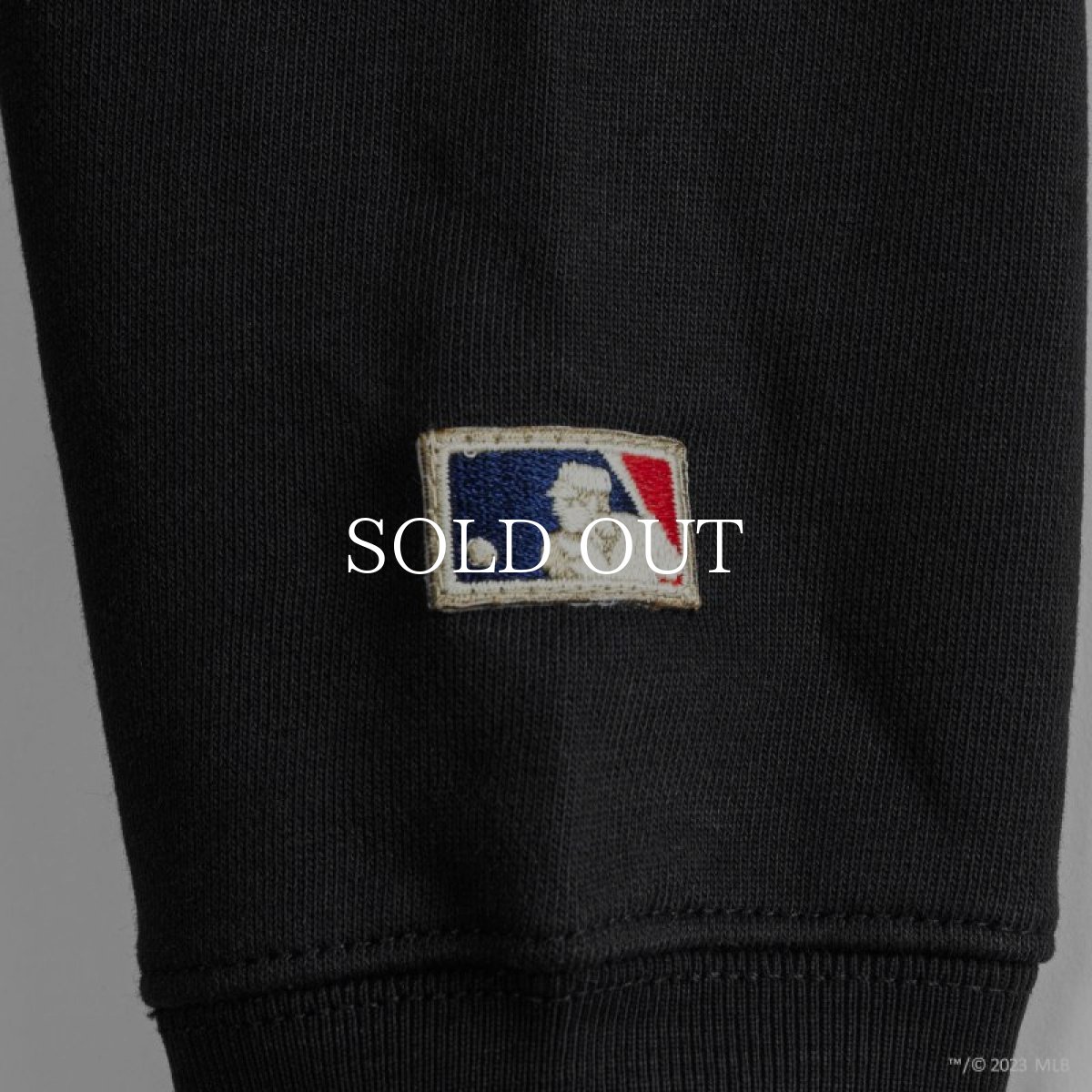 画像5: APPLEBUM  "Detroit Tigers" Crew Sweat (5)