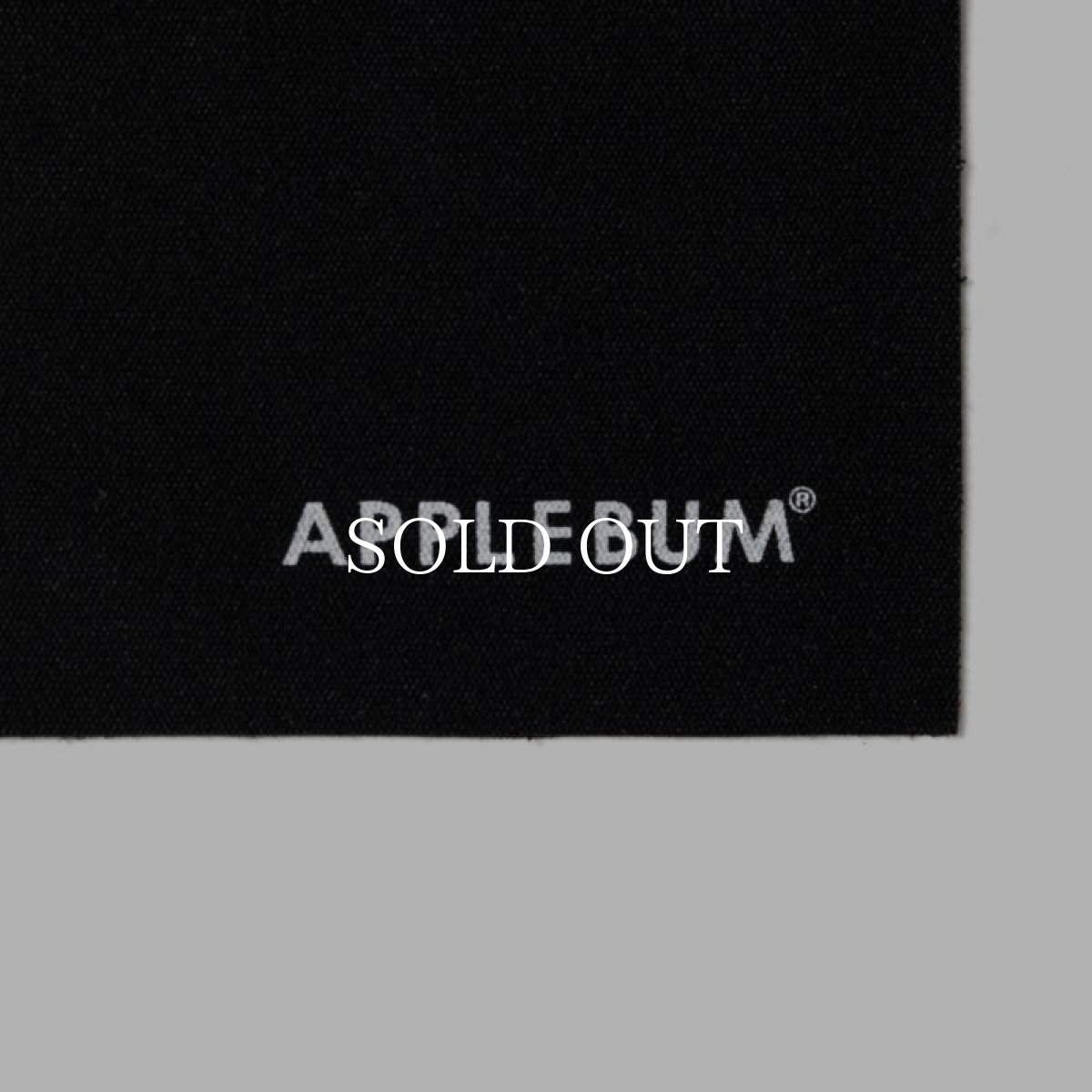 画像11: APPLEBUM  "TYO" Sunglasses (Japan Made) (11)