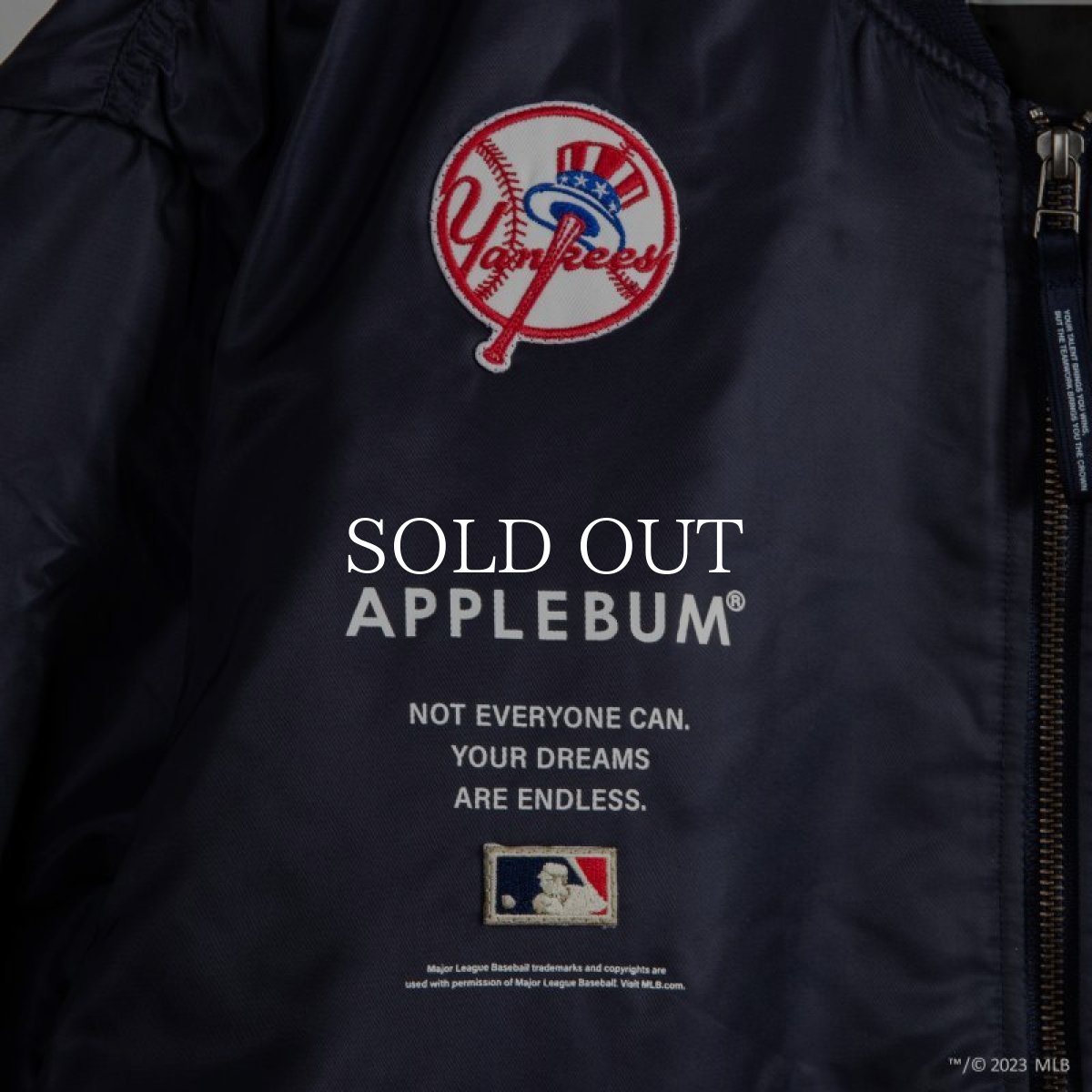 画像7: APPLEBUM  "New York Yankees" MA-1 Jacket (7)