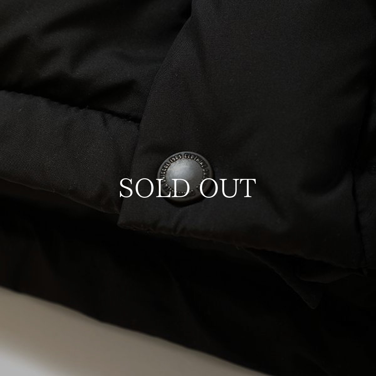 画像5: CHALLENGER  FIELD DOWN JACKET (5)