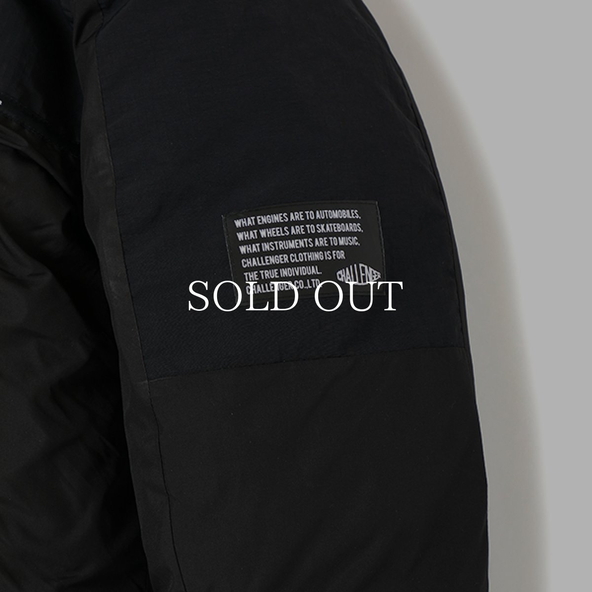 画像10: CHALLENGER  FIELD DOWN JACKET (10)