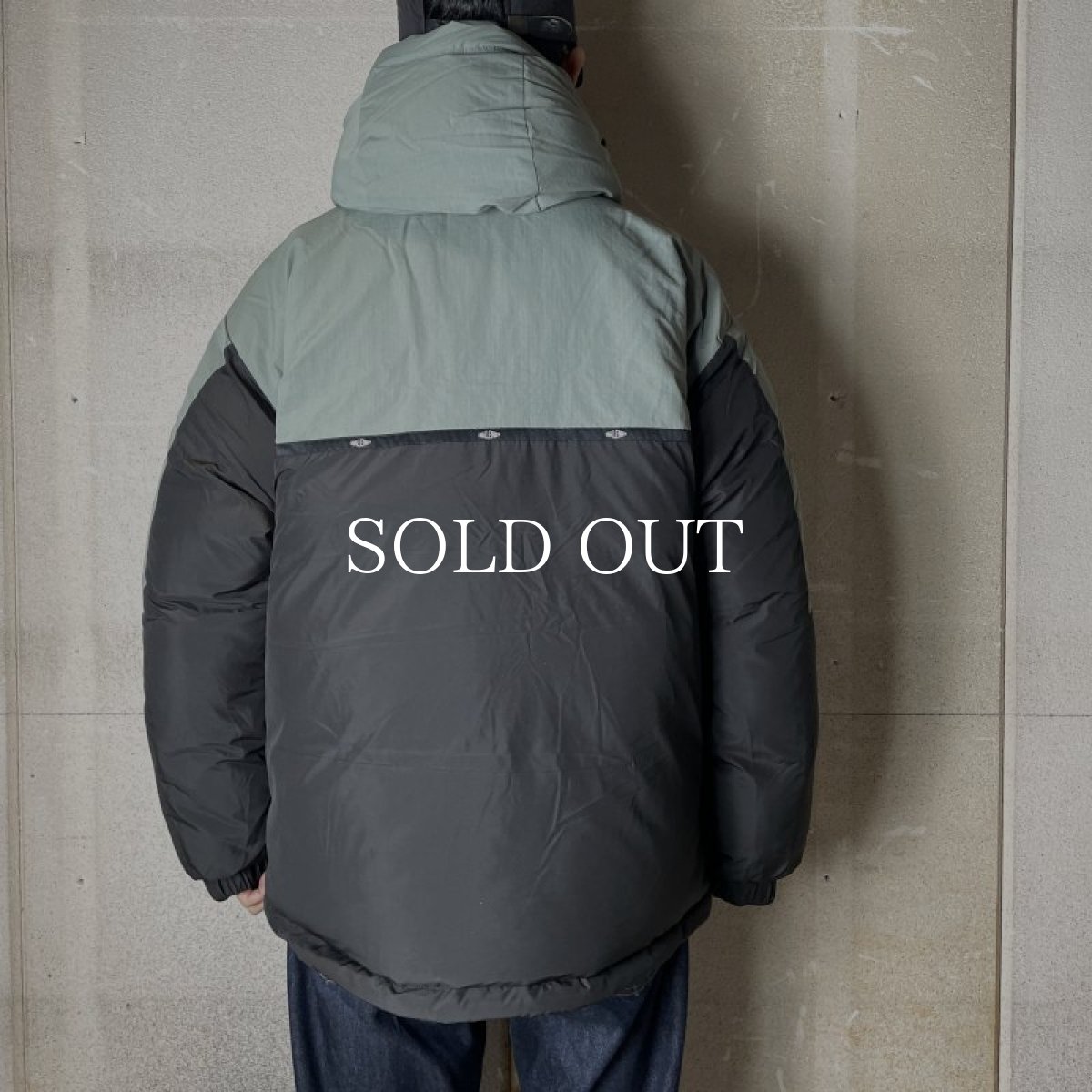 画像14: CHALLENGER  FIELD DOWN JACKET (14)