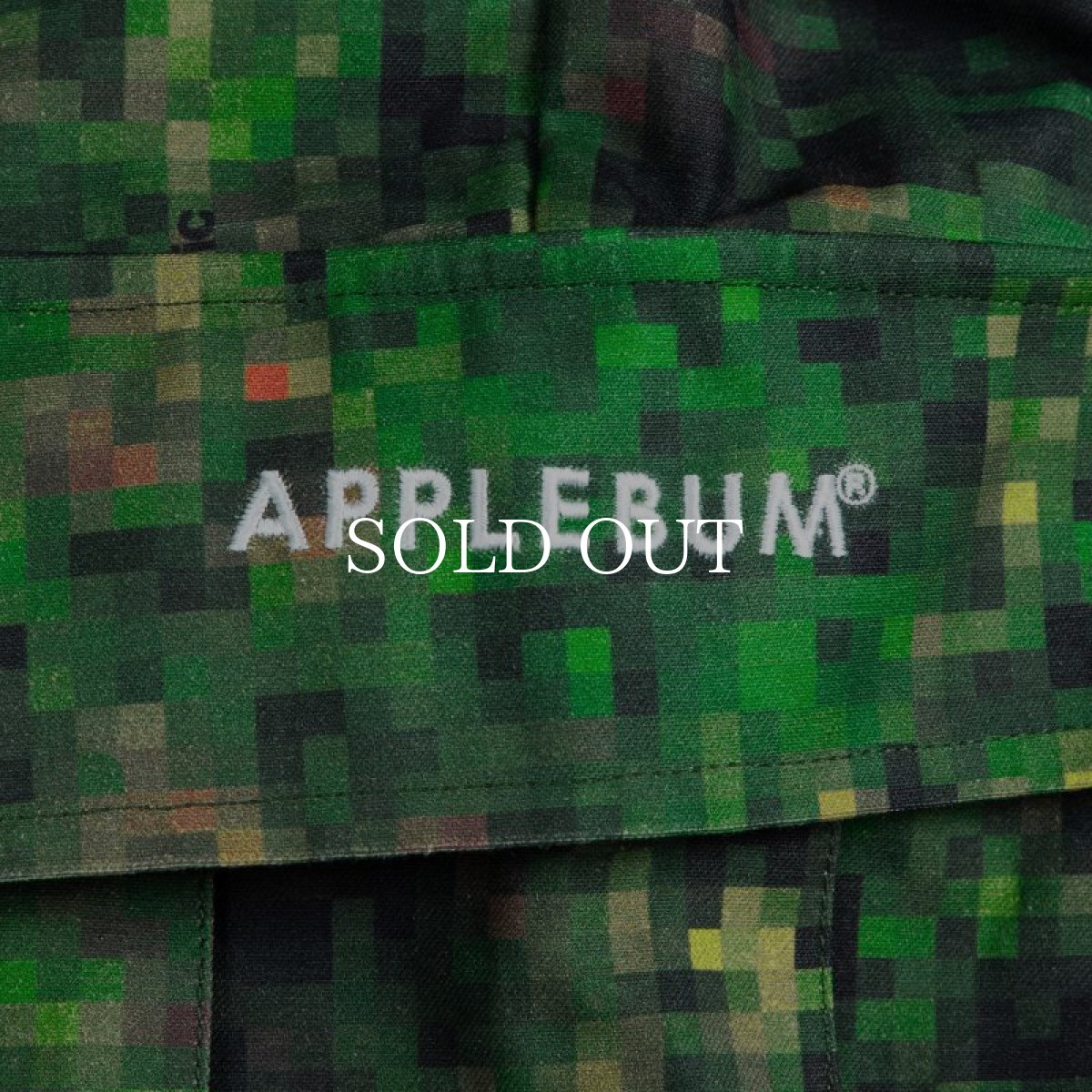 画像6: APPLEBUM  "Pixel Camo" Cargo Pants (6)