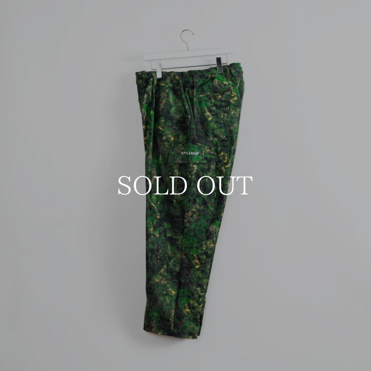 画像2: APPLEBUM  "Pixel Camo" Cargo Pants (2)