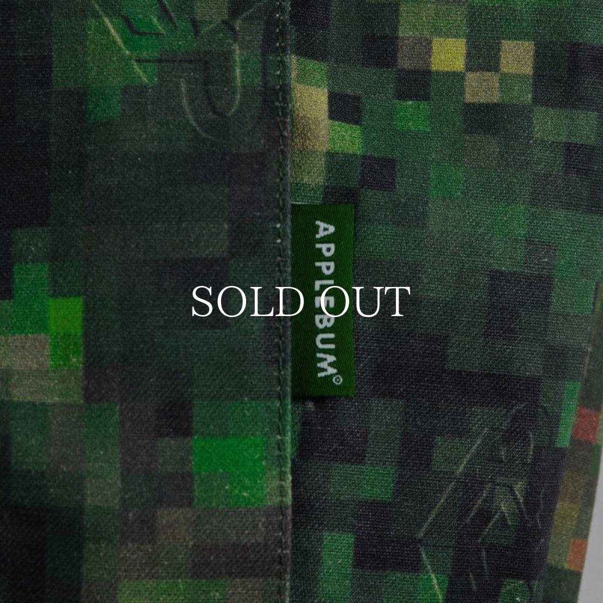 画像9: APPLEBUM  "Pixel Camo" Cargo Pants (9)