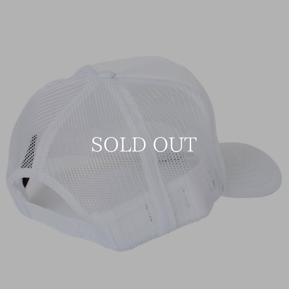 画像18: PORKCHOP GARAGE SUPPLY  WHEEL LOGO MESH CAP (18)