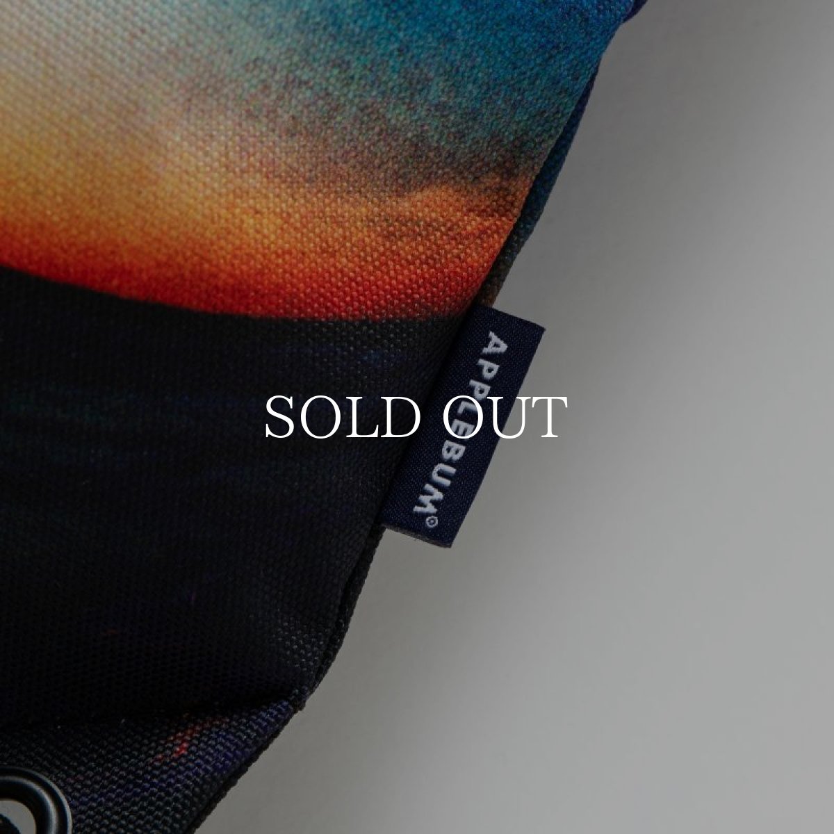 画像4: APPLEBUM  "Summer Madness" Gymsack (4)