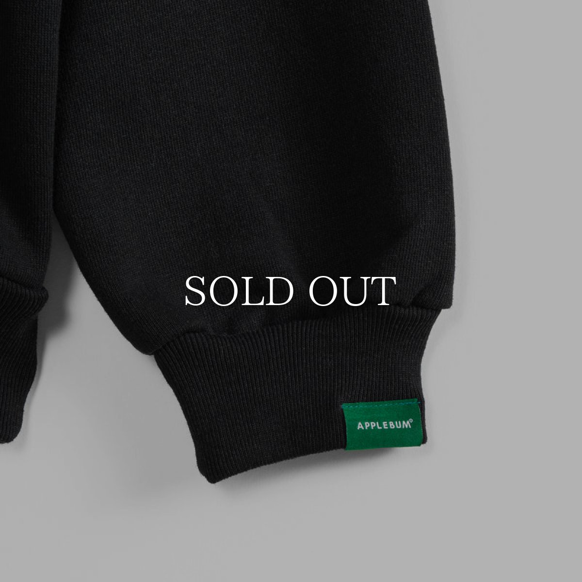 画像7: APPLEBUM  "THE SOARING MONARCH" HEAVY SWEAT PARKA (7)