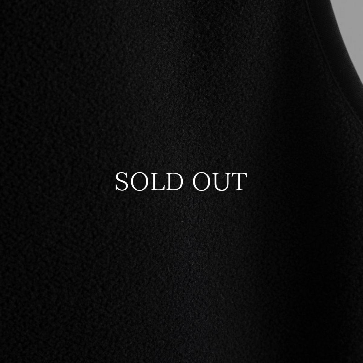 画像11: APPLEBUM  【再入荷】Fleece Vest (11)