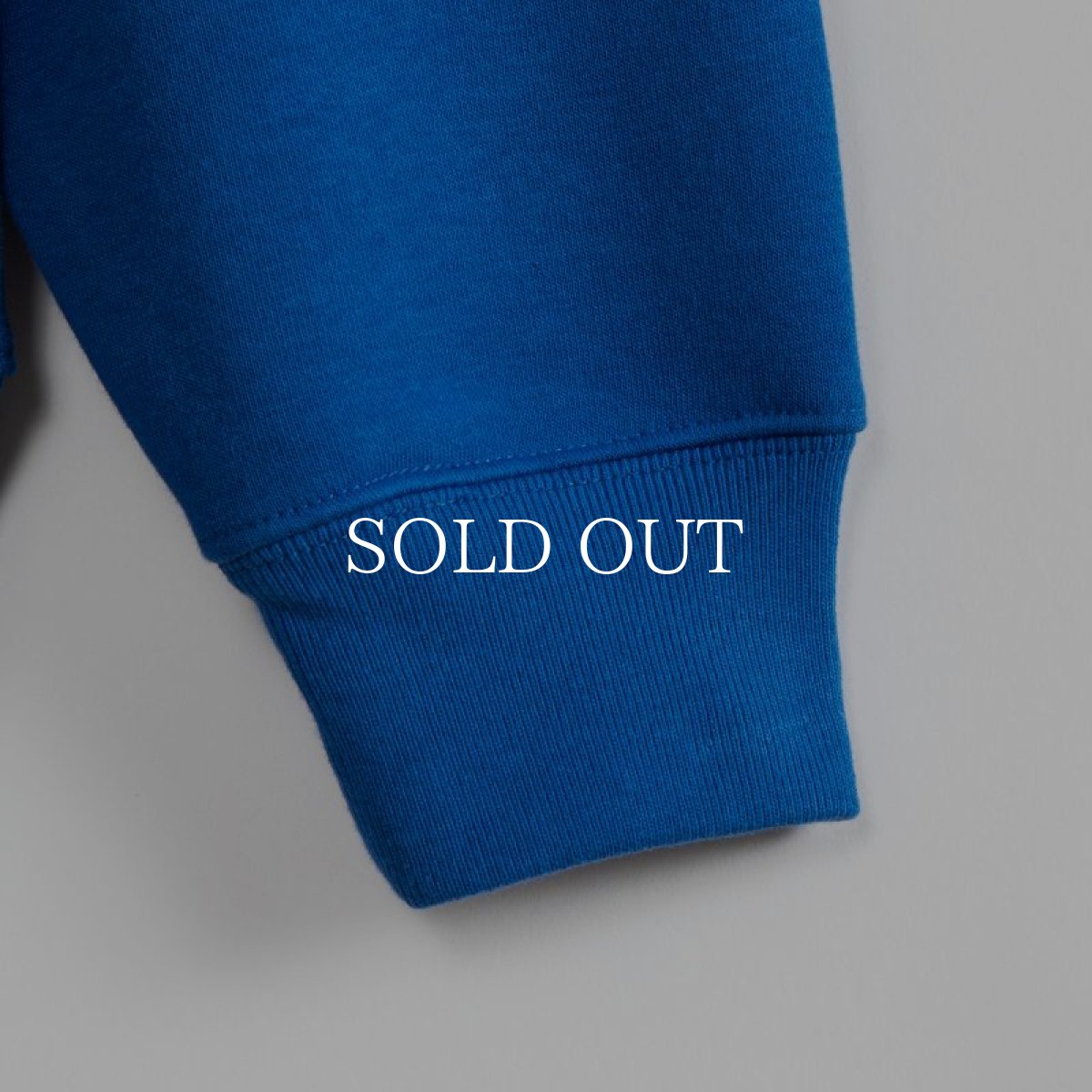 画像5: APPLEBUM  "The Papes Logo" Sweat Parka (5)