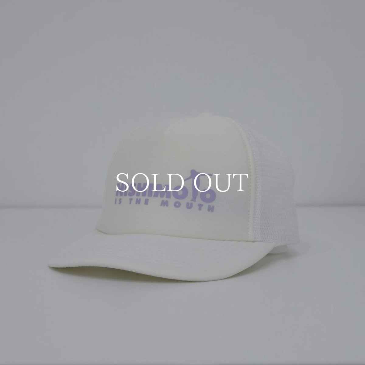 画像3: NISHIMOTO IS THE MOUTH   LOGO MESH CAP (3)