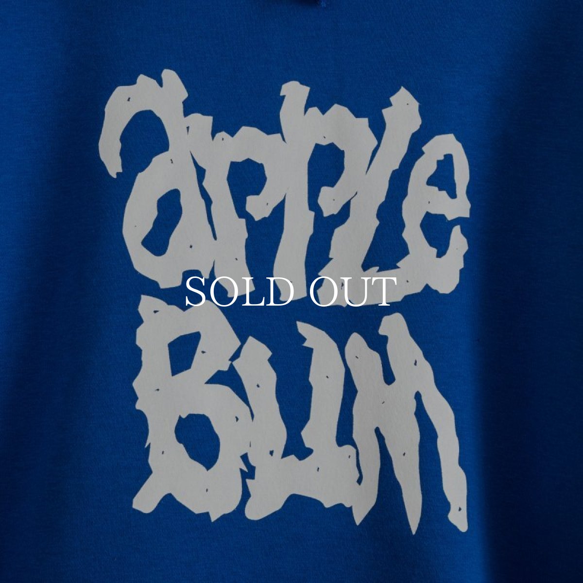 画像4: APPLEBUM  "The Papes Logo" Sweat Parka (4)