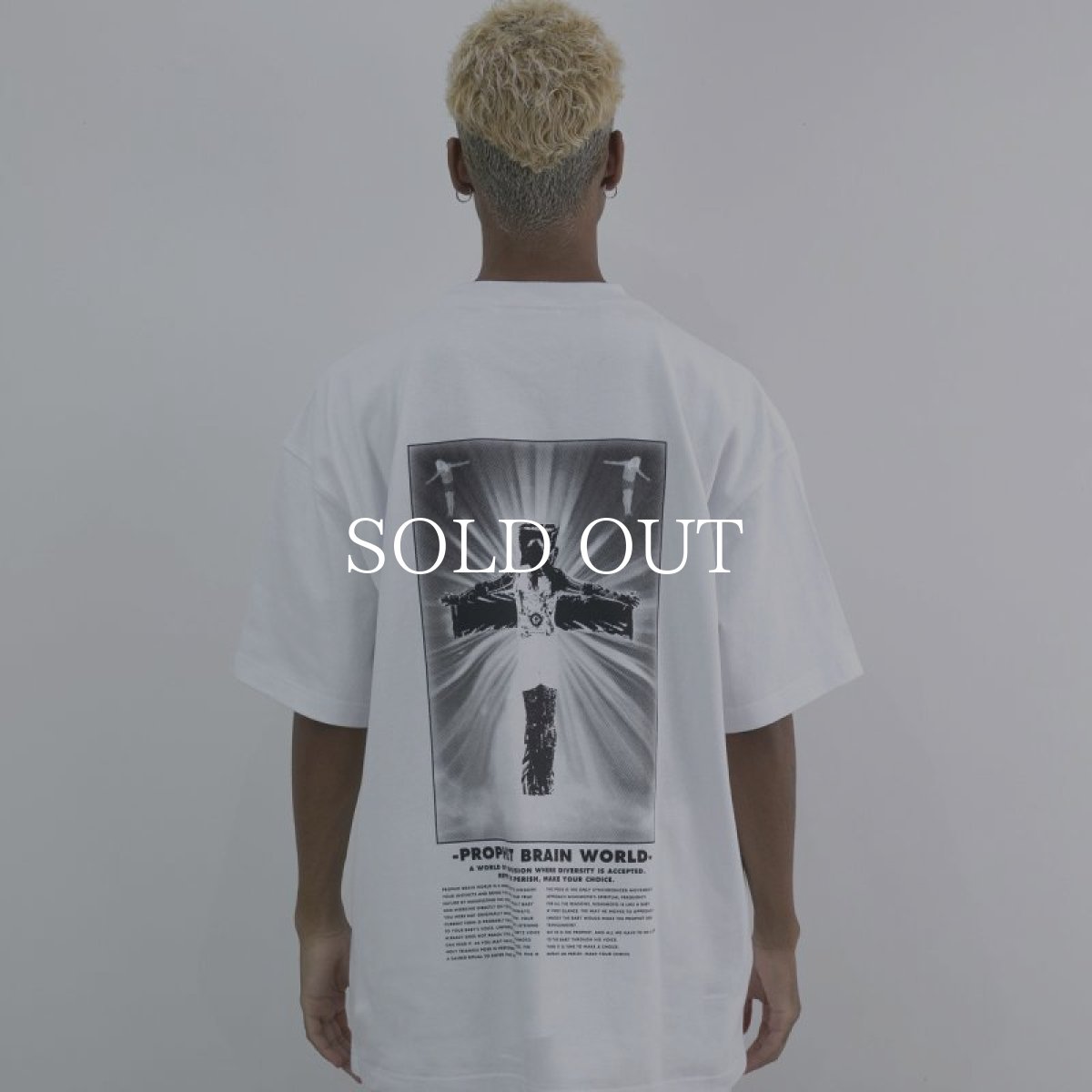 画像8: NISHIMOTO IS THE MOUTH   PBW S/S TEE (8)