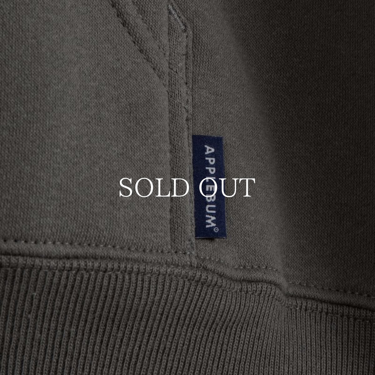 画像13: APPLEBUM  "The Papes Logo" Sweat Parka (13)