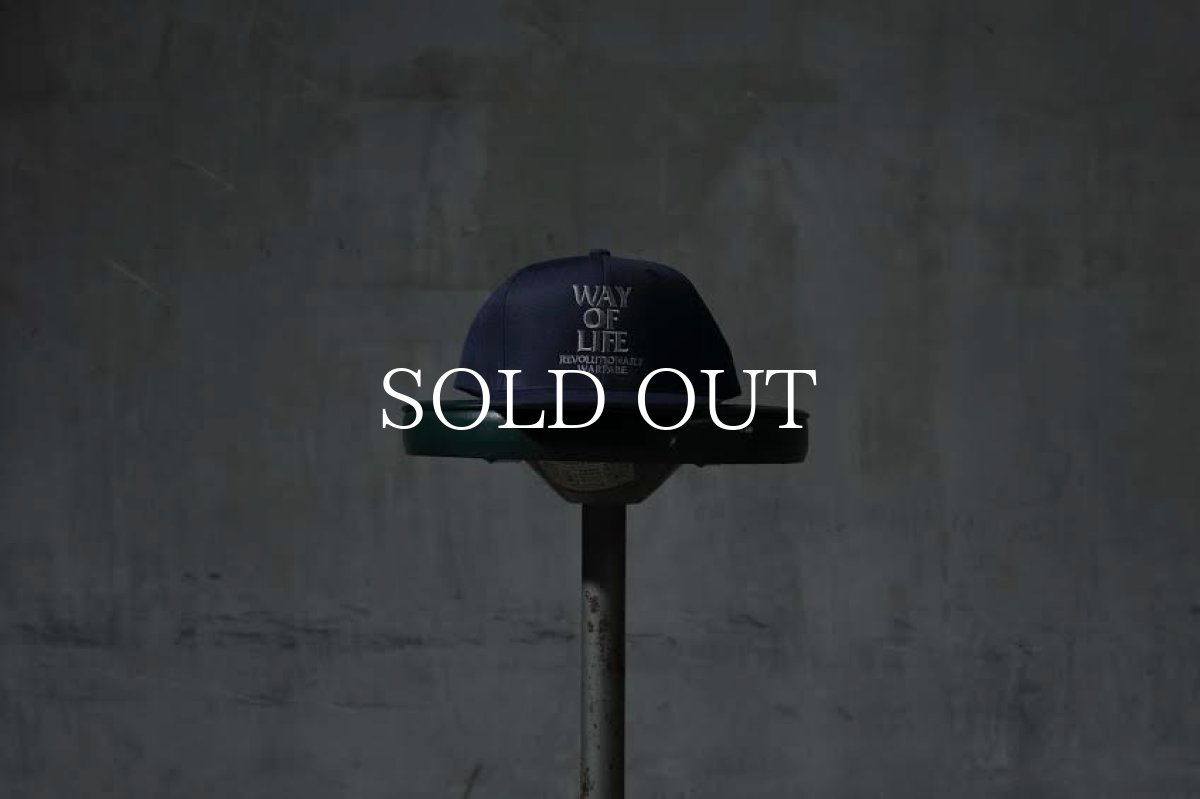 画像31: RATS  EMBROIDERY CAP (31)