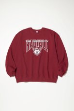 画像4: RADIALL  HOOOD CITY - CREW NECK SWEATSHIRT L/S (4)