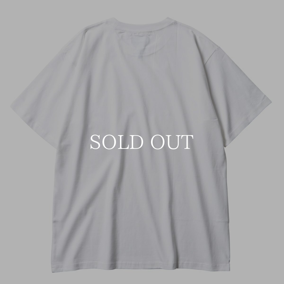 画像15: Liberaiders  LIBERAIDERS 2 PACK TEE (15)