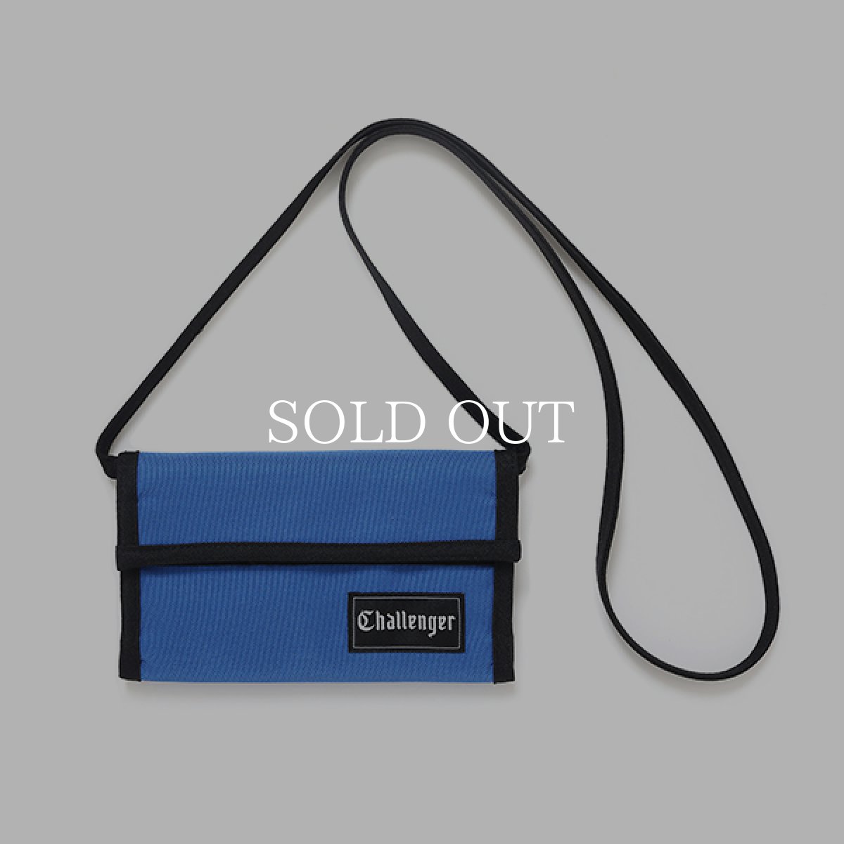 画像3: CHALLENGER  LOGO CASE TYPE II (3)