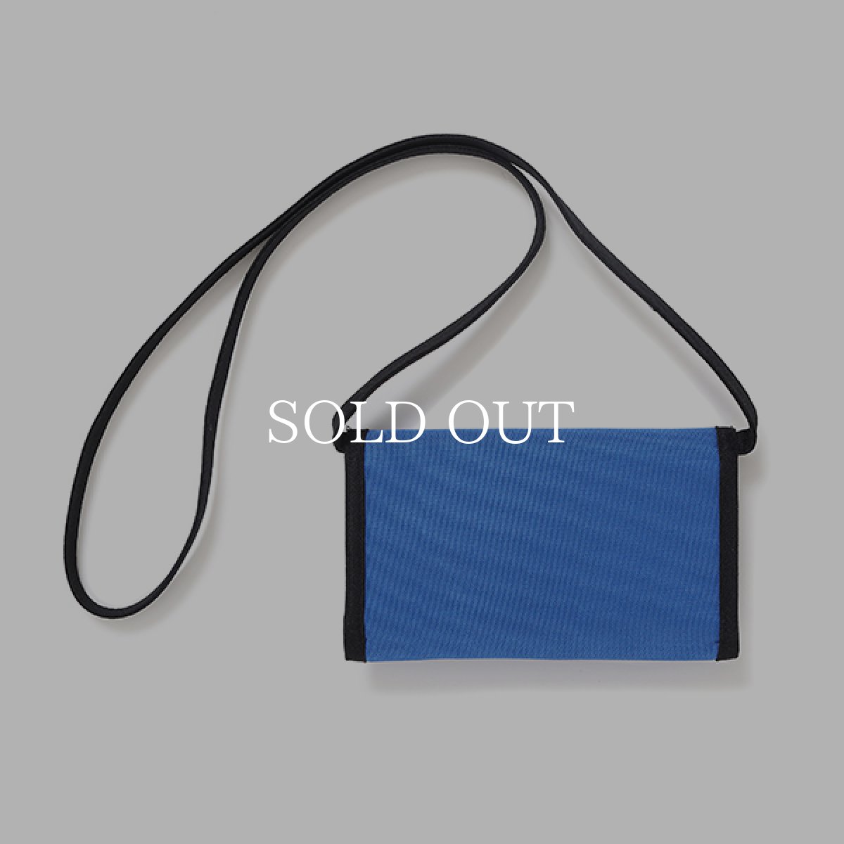 画像4: CHALLENGER  LOGO CASE TYPE II (4)