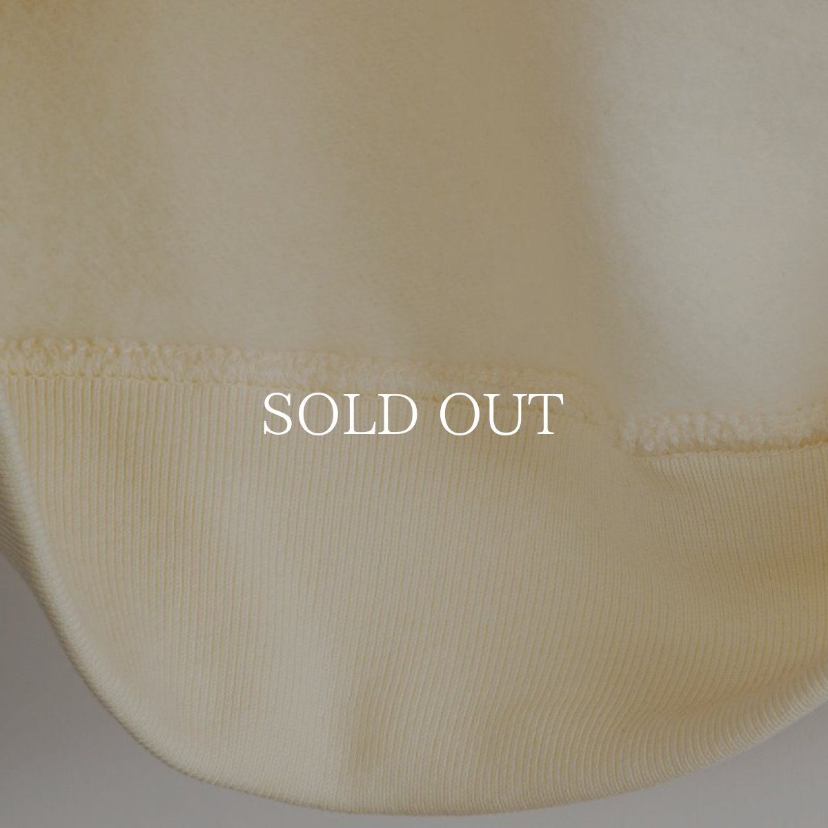 画像16: APPLEBUM  Real Tree Camo AB Sweat Parka (16)