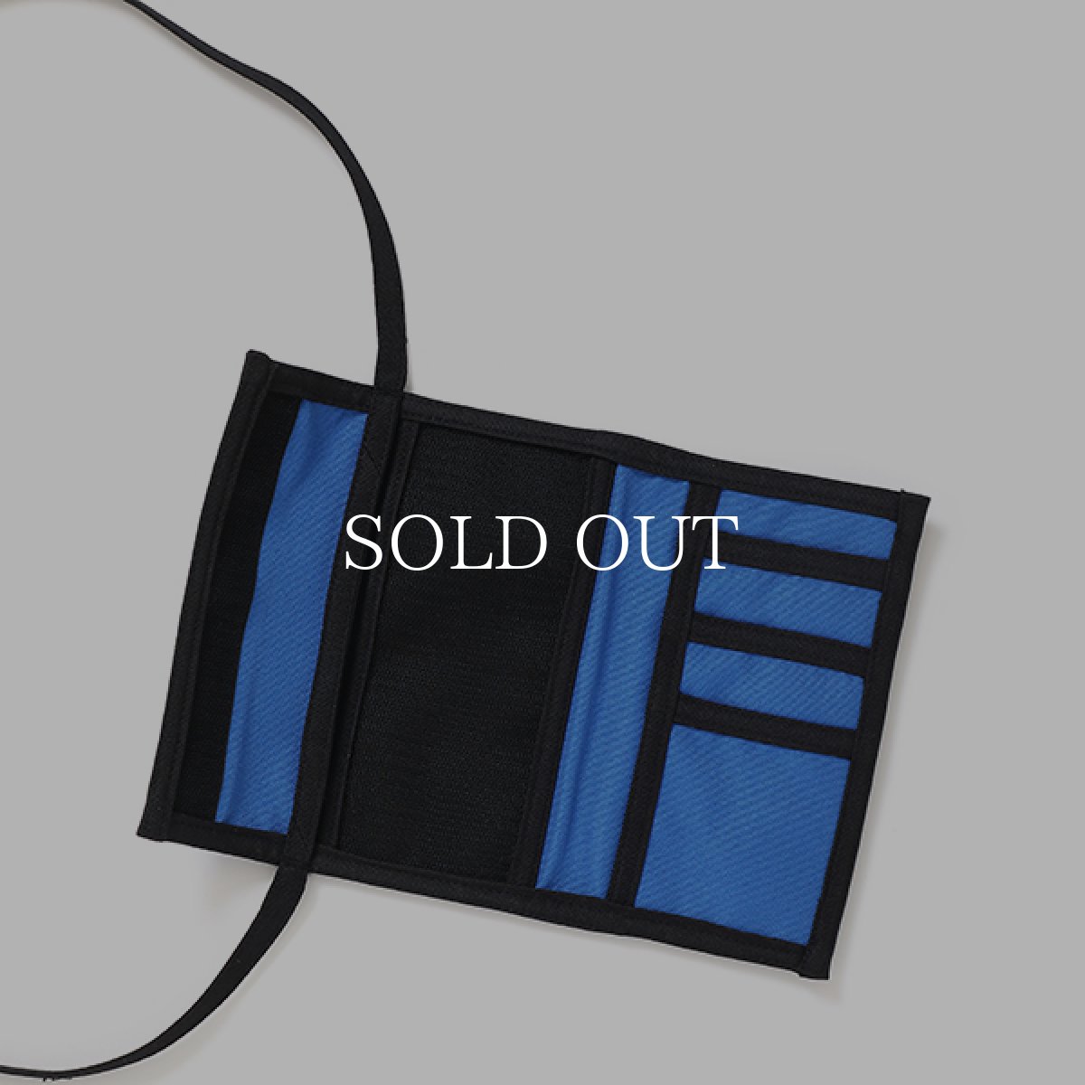 画像7: CHALLENGER  LOGO CASE TYPE II (7)