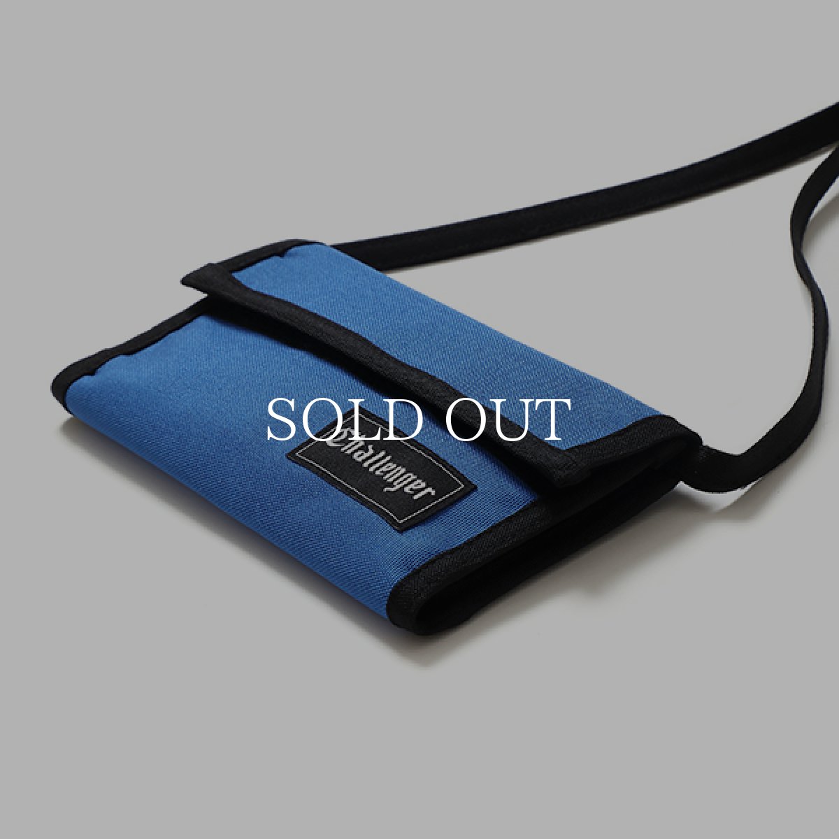 画像6: CHALLENGER  LOGO CASE TYPE II (6)