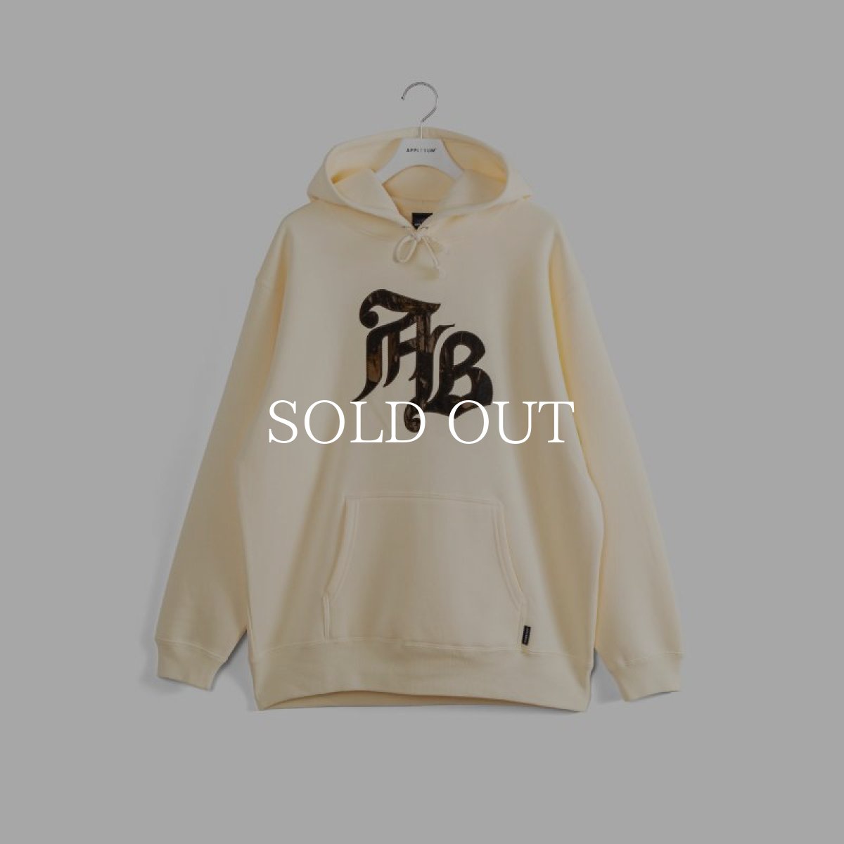 画像9: APPLEBUM  Real Tree Camo AB Sweat Parka (9)