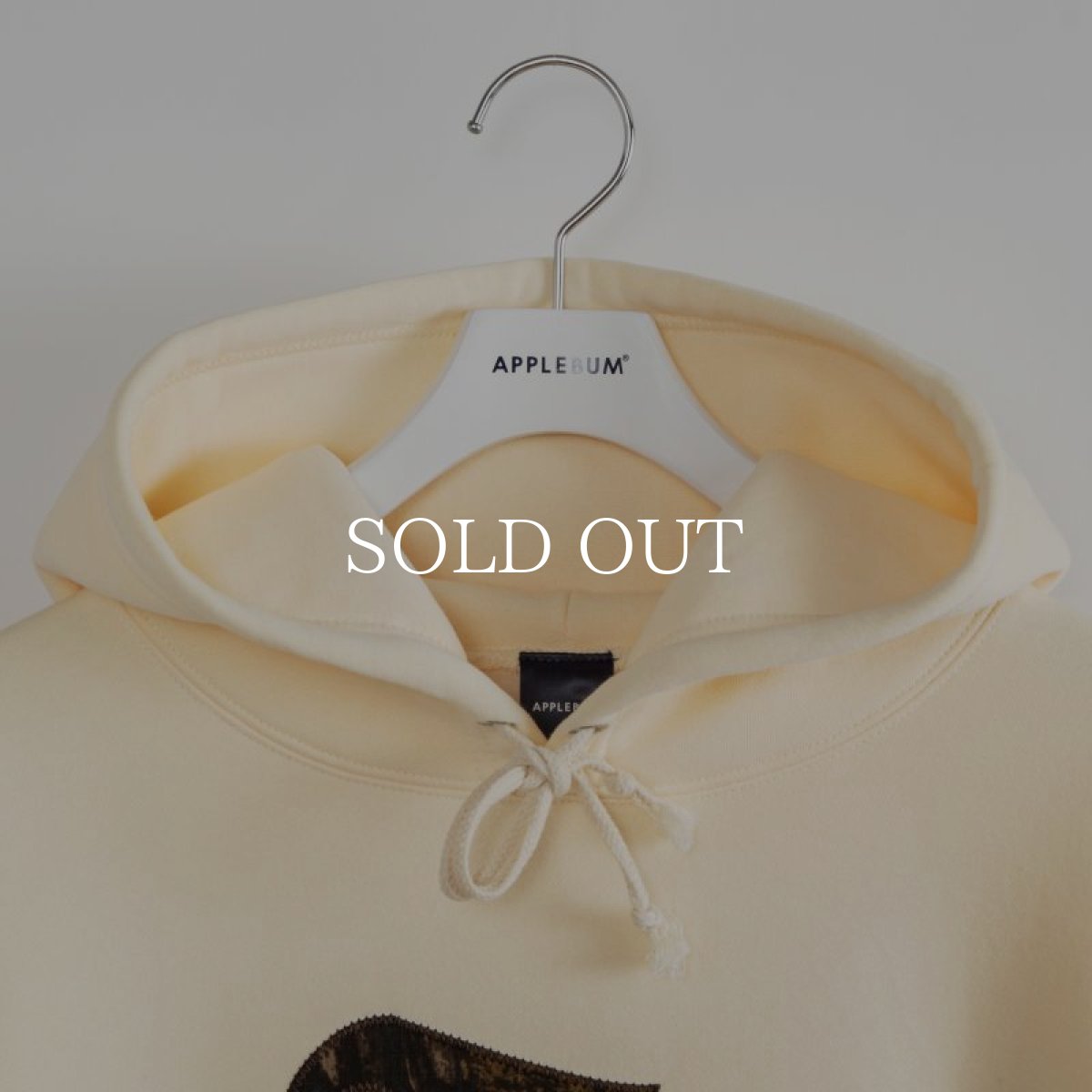 画像11: APPLEBUM  Real Tree Camo AB Sweat Parka (11)