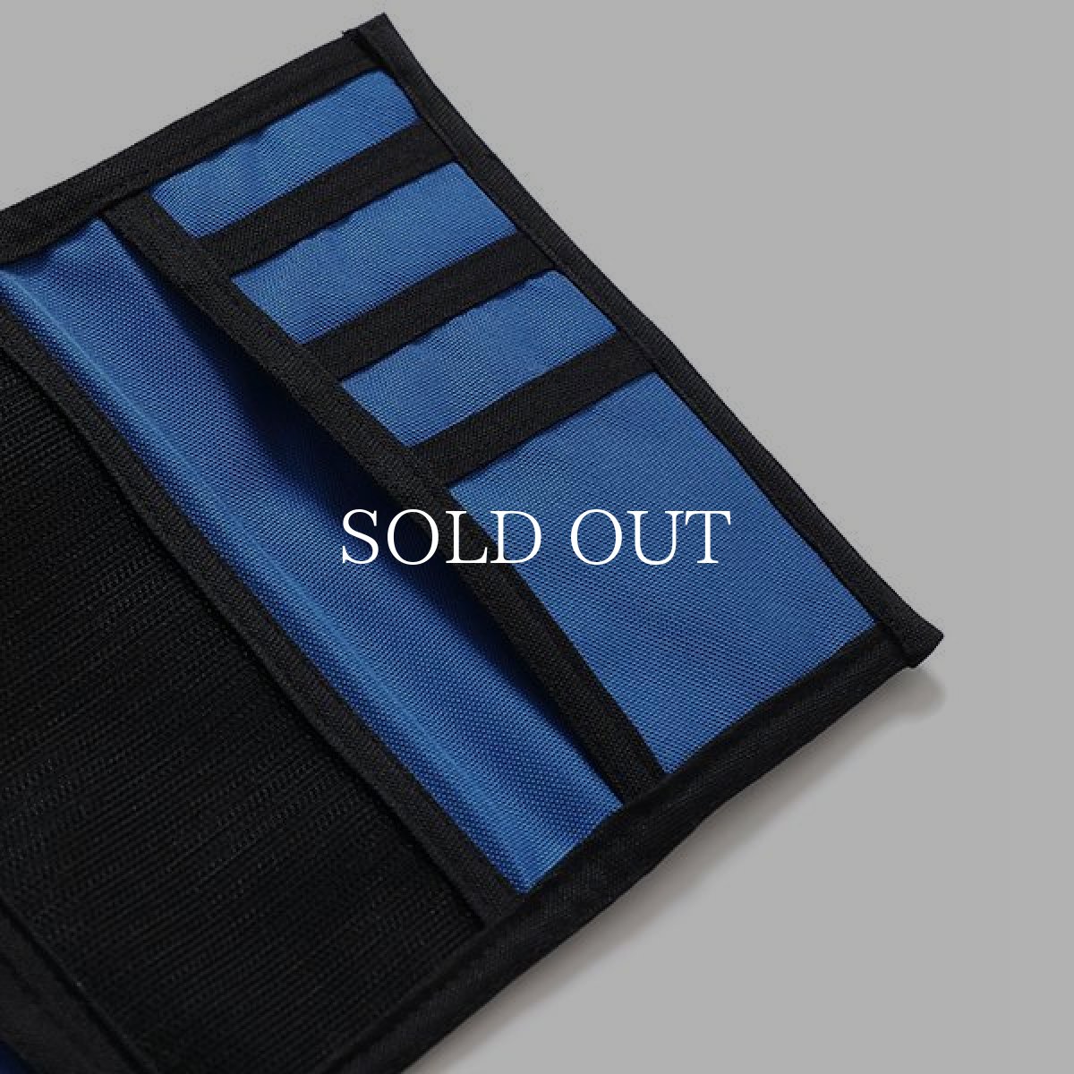 画像9: CHALLENGER  LOGO CASE TYPE II (9)